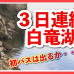 初バスを目指して白竜湖へ