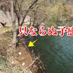 2018年白竜湖ファーストフィッシュ