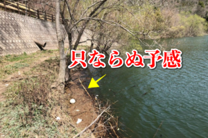 2018年白竜湖ファーストフィッシュ