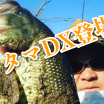 早春の三川にドラマは起こるのか！？