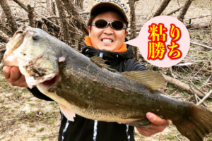 果たして前日のパターンは通用するのか？