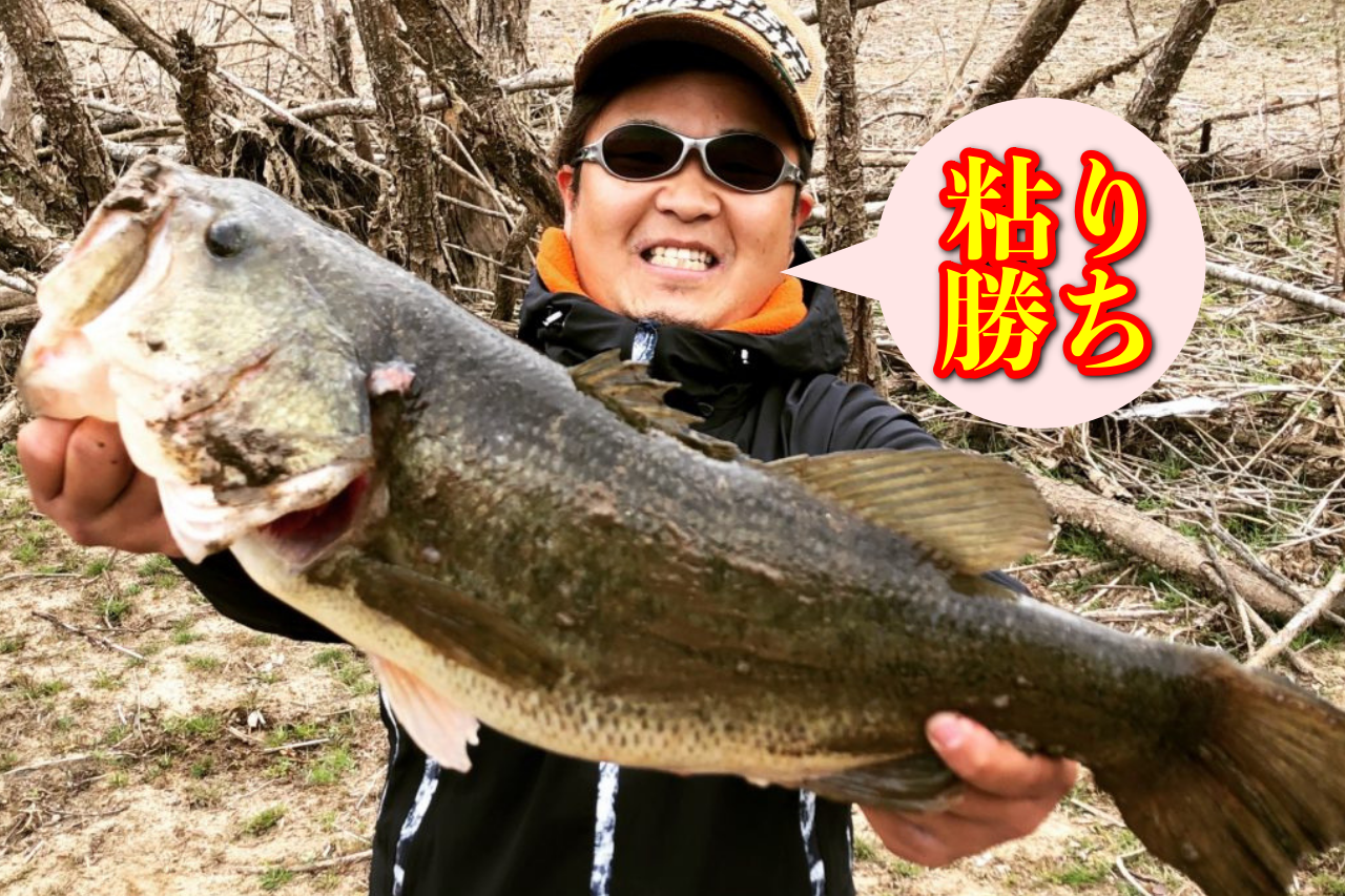 果たして前日のパターンは通用するのか？