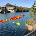 春のプリを求めて！三川ダム釣行