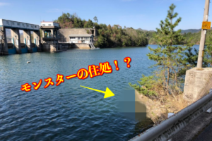 春のプリを求めて！三川ダム釣行