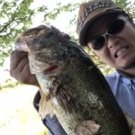 お昼から買い物ついでに東広島野池へ