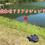 東広島野池ランガン釣行