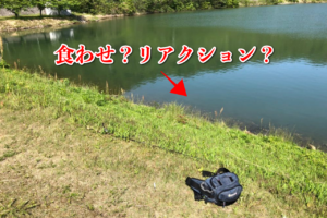 東広島野池ランガン釣行