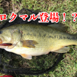 東広島５０アップ３本と大当たり