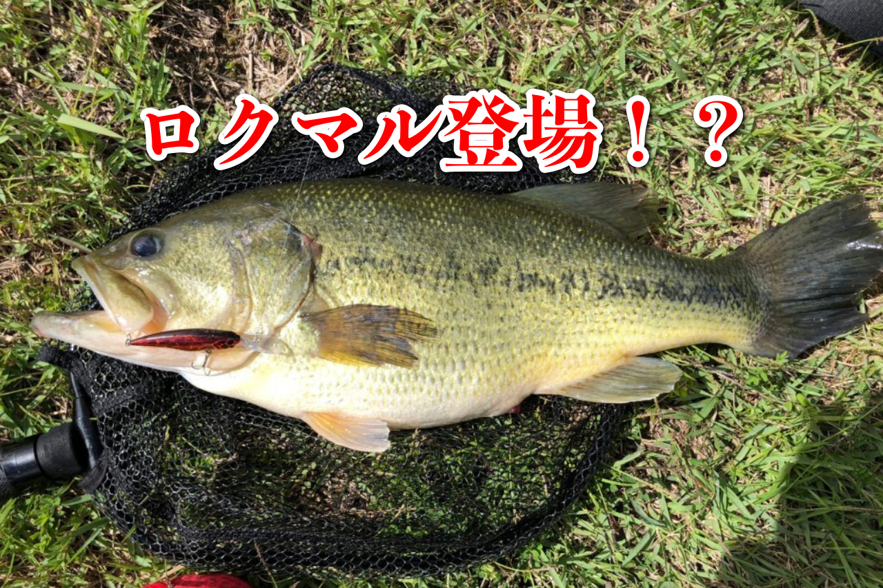 東広島５０アップ３本と大当たり