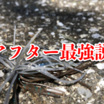 東広島河川でアフターバスを攻略か！？