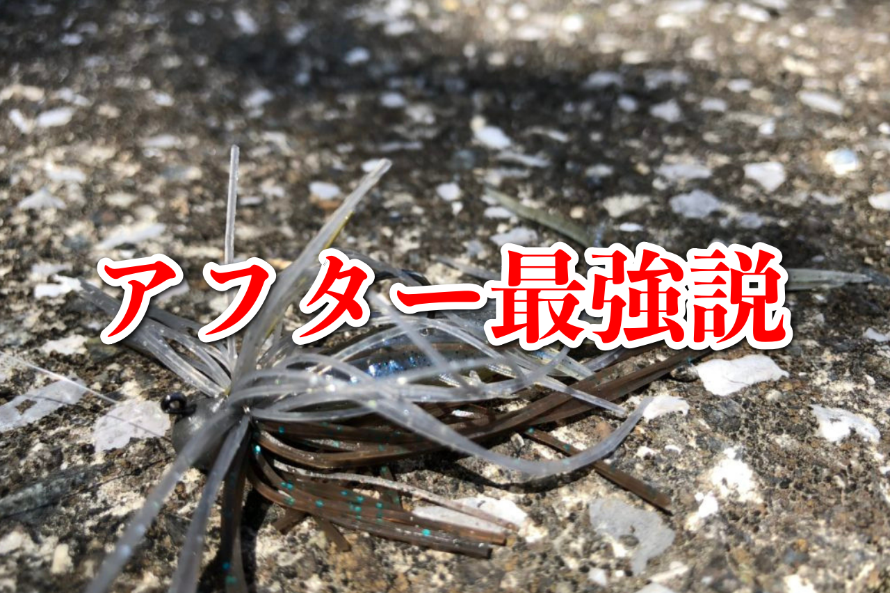 東広島河川でアフターバスを攻略か！？