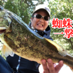 ４０分間の奇跡