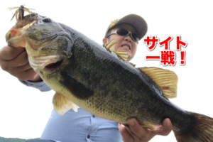 午後から雨予報なので午前中だけ東広島野池へ