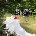 「シェード」「日向」「表水温」が今日のキーワード