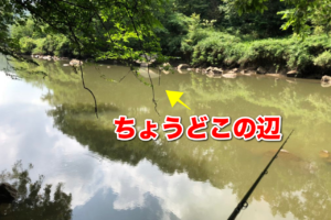 おにぎりロック下流にうっすら見える大岩にドリフを決めると