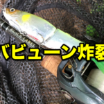 アフターには「ビックベイト」がハマる