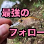 フォローのレベルシャッドは最強説