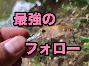 フォローのレベルシャッドは最強説