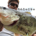 【速報】ブルフラットでフットボール体型の豚バス捕獲！