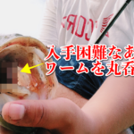 沖のピンスポットでラインが強烈に弾かれた・・・