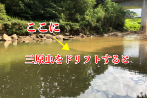 スレバスに効く三原虫のドリフト