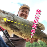 秋のオイカワパターン？と虫パターン