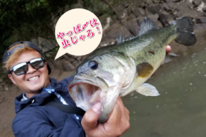 昨日のパターンは通用するのか？