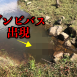 最下流のインレットからゾンビ登場！？