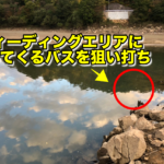 秋の深まる白竜湖にビッグワンを求める！