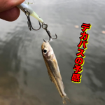 水温１４度の曇り空でマグナムは出るのか！？