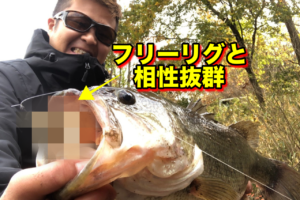 もう初冬！？短時間で成果をあげられるのか？