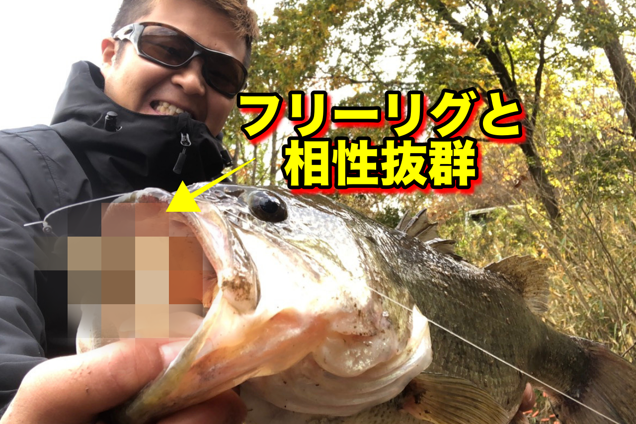 もう初冬！？短時間で成果をあげられるのか？