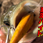 昨日のリベンジに燃える白竜湖釣行