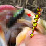 いつもと違うエリアからエントリー