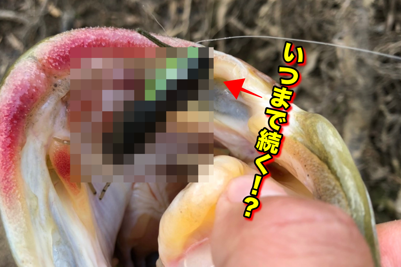 いつもと違うエリアからエントリー