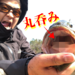 冬の三川ダムにドラマはあるのか？