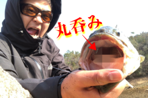 冬の三川ダムにドラマはあるのか？