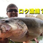 バスのポジションが移り変わる白竜湖へ