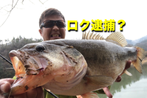 バスのポジションが移り変わる白竜湖へ