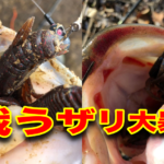 早春の白竜湖！気難しいバスをどう攻略するか？