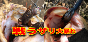 早春の白竜湖に巻物チャレンジ