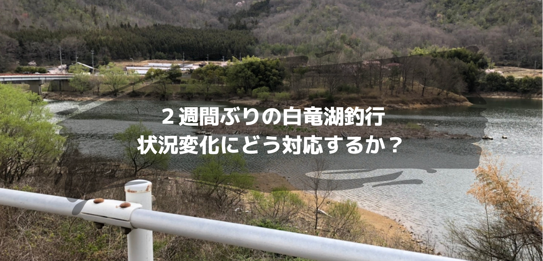 ２週間ぶりの白竜湖釣行！春の状況変化にアジャスト出来るのか！？