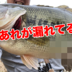 水温２１度の春のリザーバーをフィネスで攻める