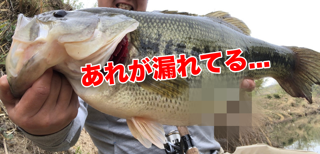 水温２１度の春のリザーバーをフィネスで攻める