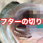 アフター狙いの白竜湖釣行
