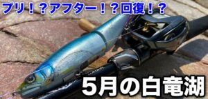 プリ！？アフター！？回復！？気難しい5月の白竜湖釣行