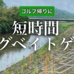 ゴルフ帰りに白竜湖最上流アタック！大雨なので短時間ビッグベイト縛り