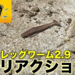 午後から短時間釣行｜土師ダム攻略に向けてリアクションDSを導入