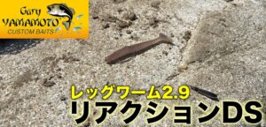 午後から短時間釣行|土師ダム攻略に向けてリアクションDSを導入