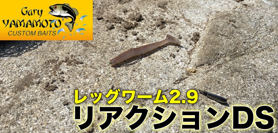 午後から短時間釣行｜土師ダム攻略に向けてリアクションDSを導入